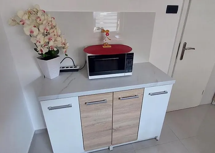 Jo-ma Apartma - Safe Parking 公寓 卢布尔雅那